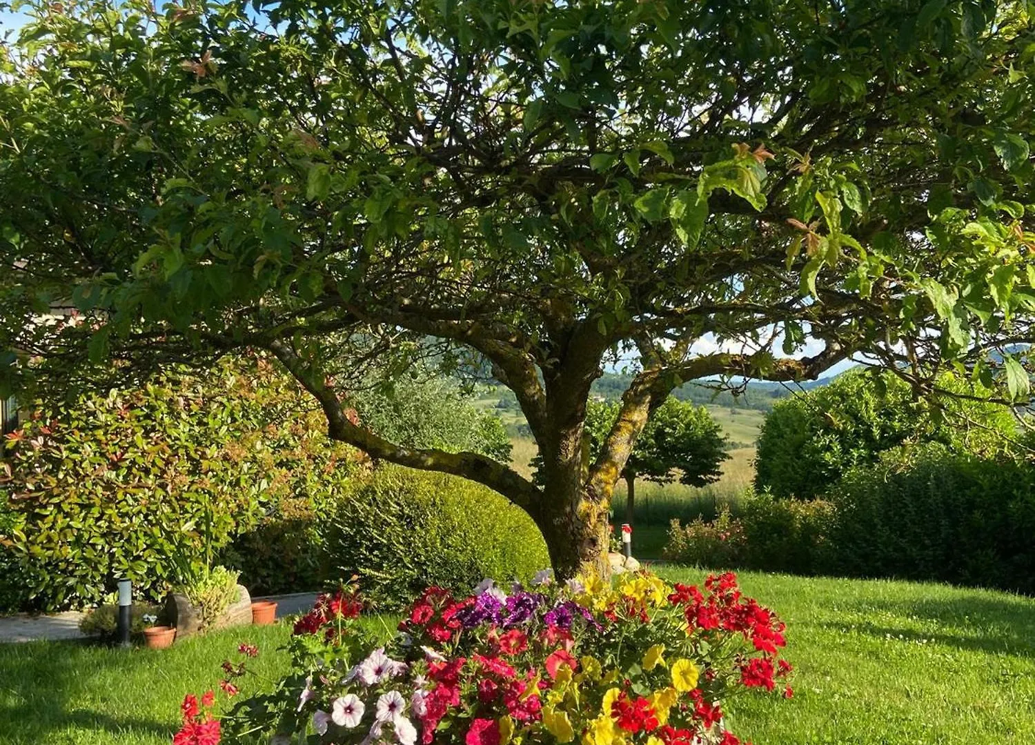 Agriturismo Bordigaie Bruscoli 0*,  Italia