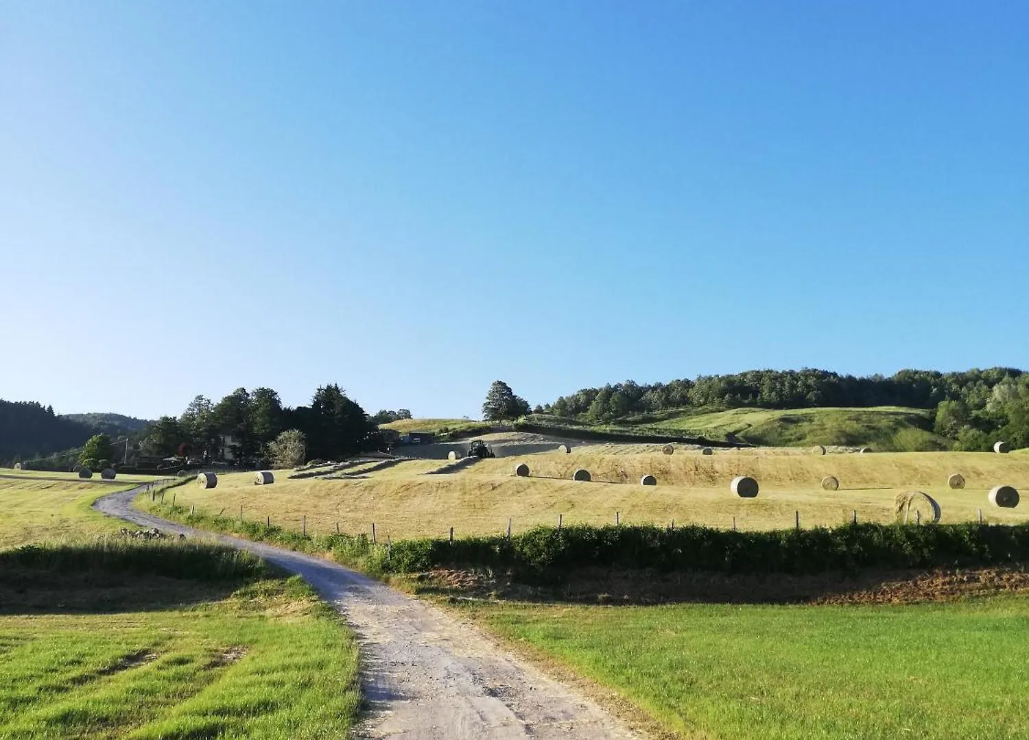 Agriturismo Bordigaie Bruscoli Agroturismo